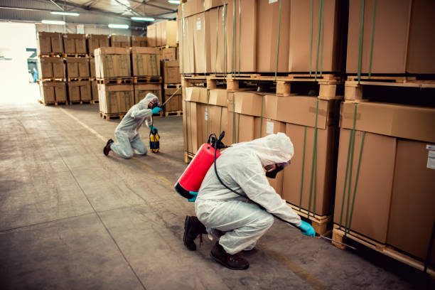 Best Pest Removal Services  in Dilley, TX