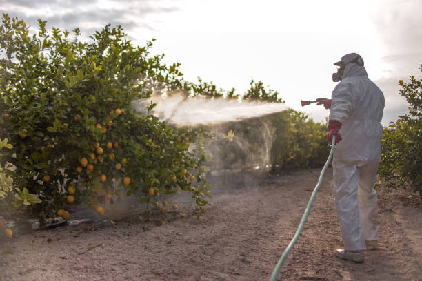 Best Emergency Pest Control  in Dilley, TX